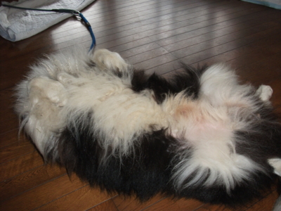 f:id:yuki0306:20110724063153j:image