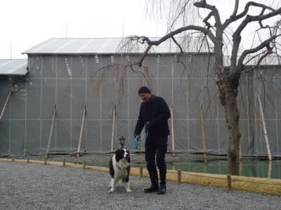 f:id:yuki0306:20130112105152j:image f:id:yuki0306:20130112105152j:image