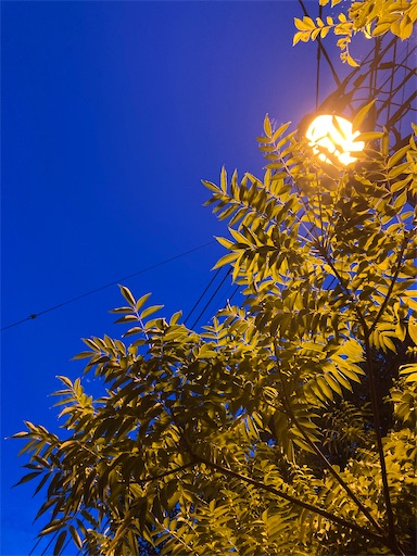f:id:yuki03816:20260905070605j:image f:id:yuki03816:20260905070605j:image