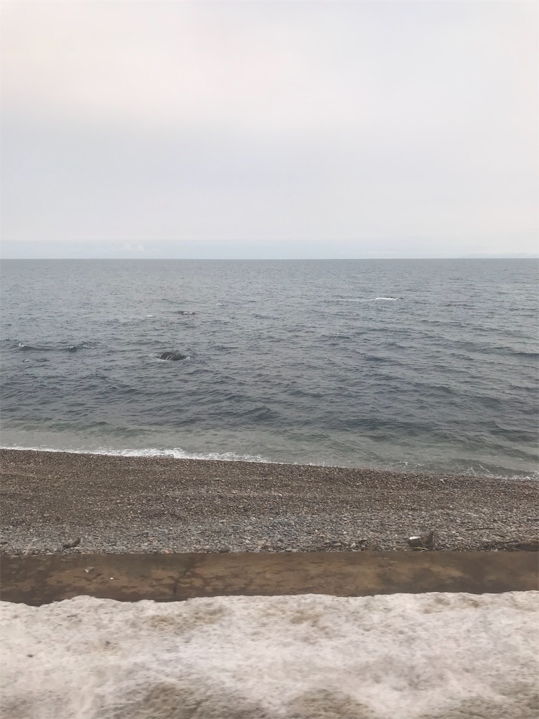f:id:yuki1016:20190325210844j:image f:id:yuki1016:20190325210844j:image