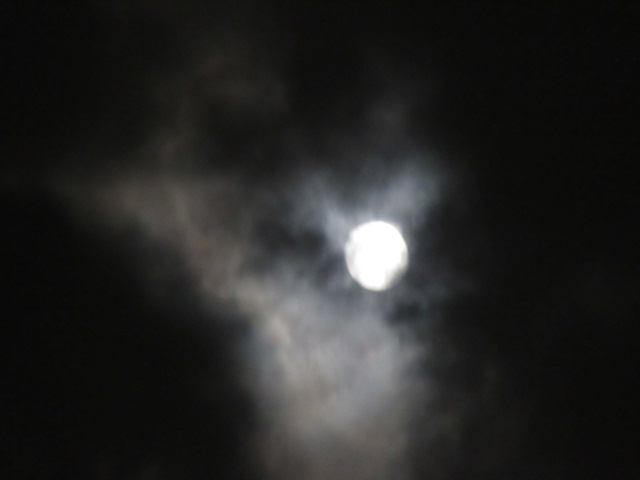 f:id:yuki1094:20180924213352j:image:w360 f:id:yuki1094:20180924213352j:image:w360