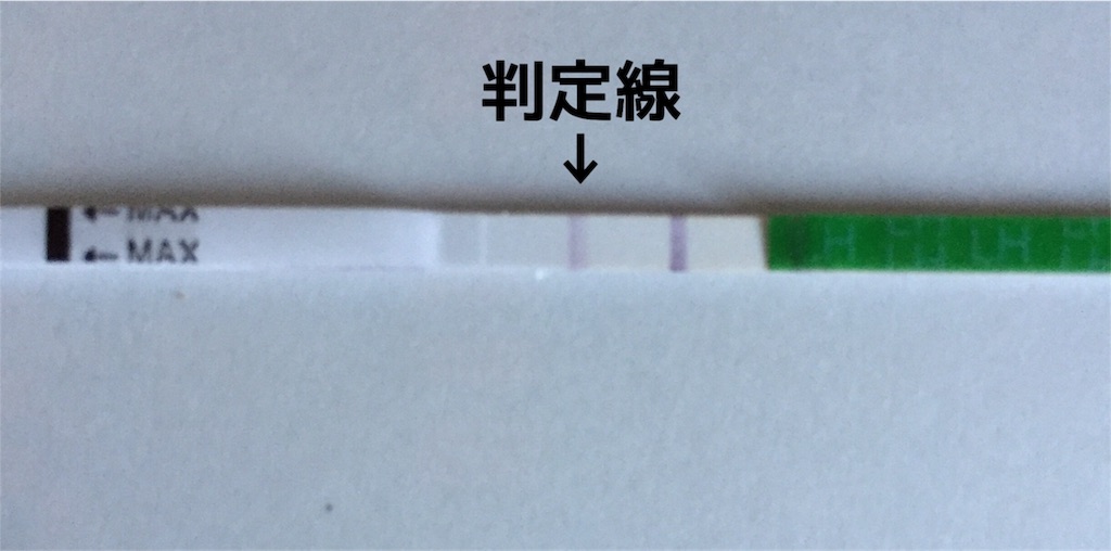 f:id:yuki1108:20170109080914j:image