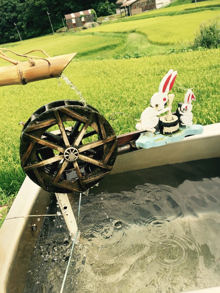 f:id:yuki1414:20150826184002j:image f:id:yuki1414:20150826184002j:image
