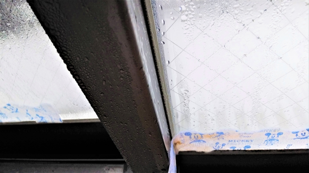 ダイソーの結露吸水テープにカビが発生した画像
