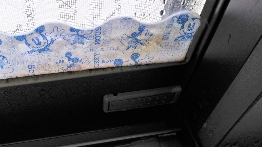 100均の結露吸水テープにカビが生えた画像