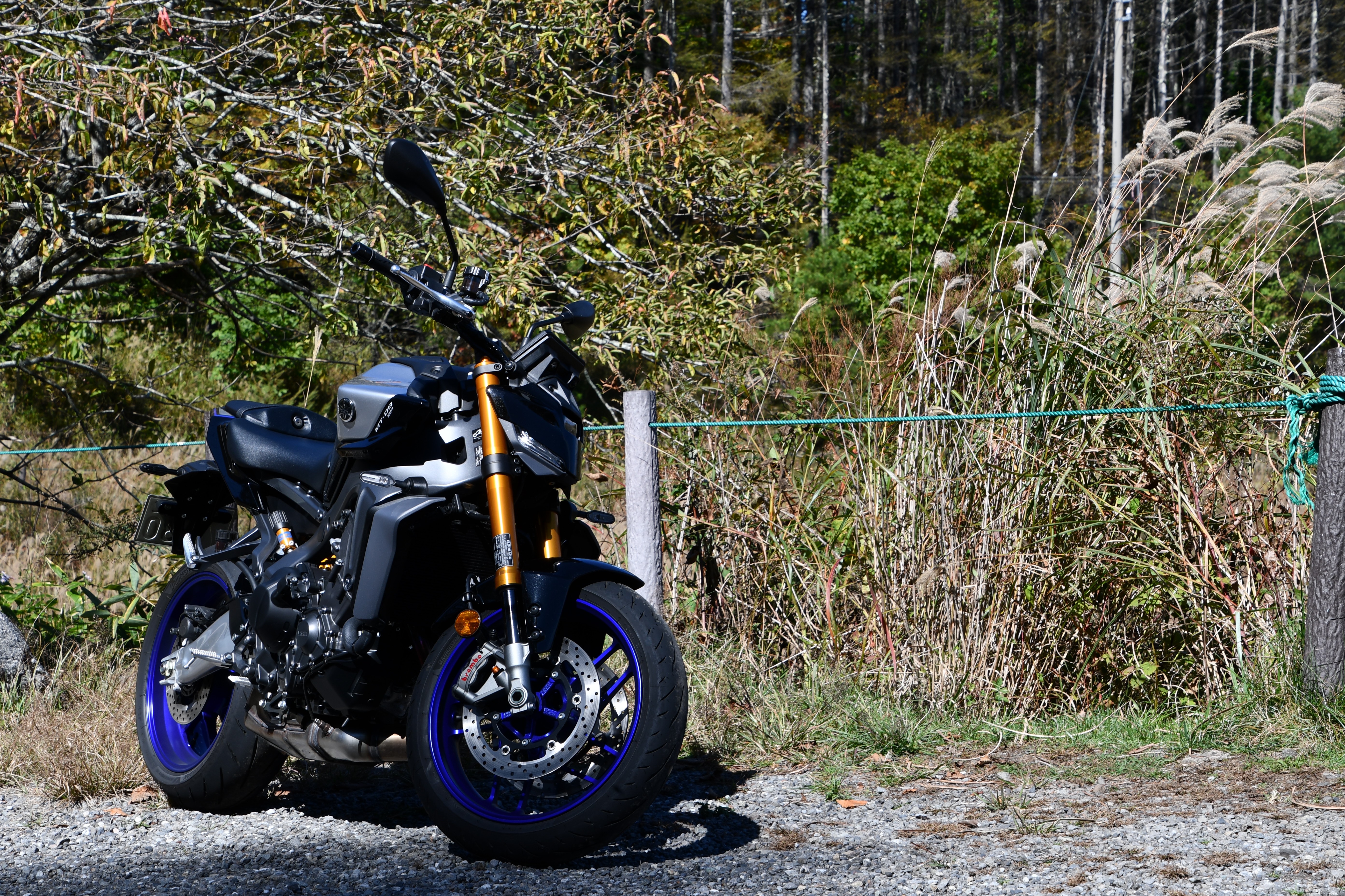 f:id:yuki3434:20260511235429j:image f:id:yuki3434:20260511235429j:image