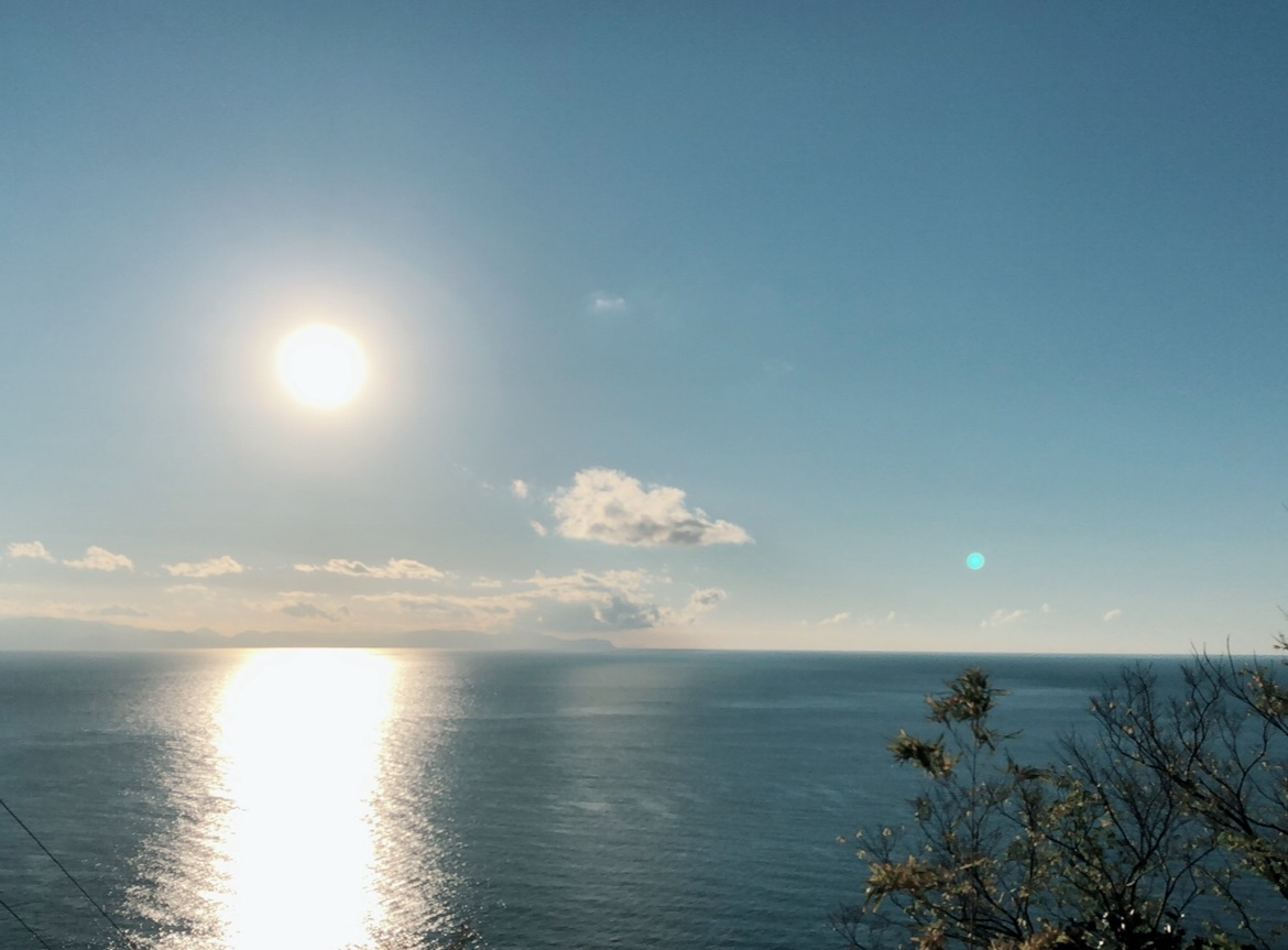 f:id:yuki3434:20260511235724j:image f:id:yuki3434:20260511235724j:image