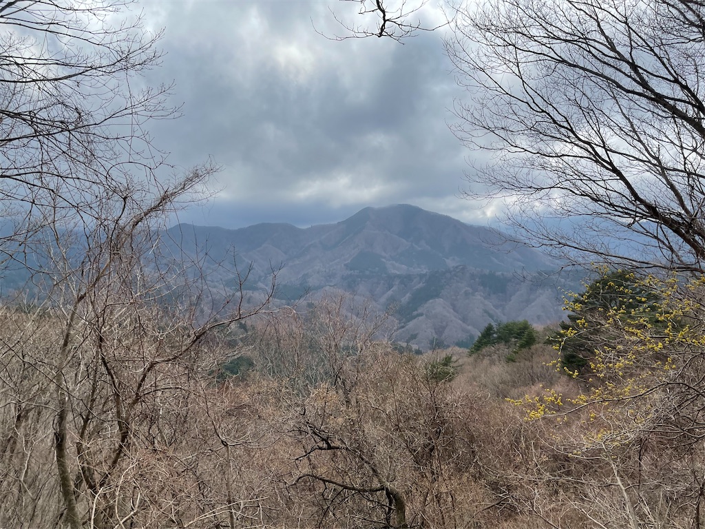 大室山の山道の途中からの景色