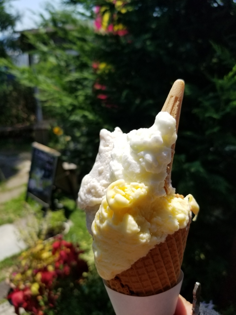 f:id:yuki6225:20180721161516j:plain f:id:yuki6225:20180721161516j:plain