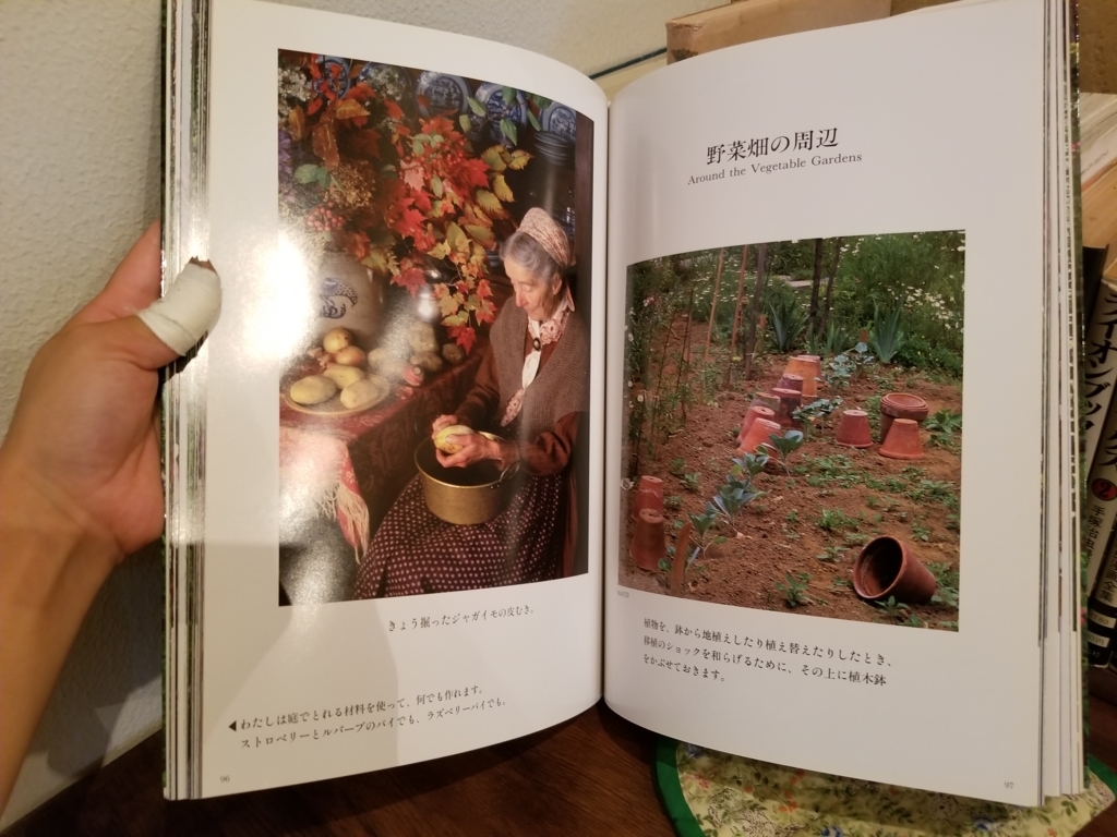 f:id:yuki6225:20180802074947j:plain f:id:yuki6225:20180802074947j:plain