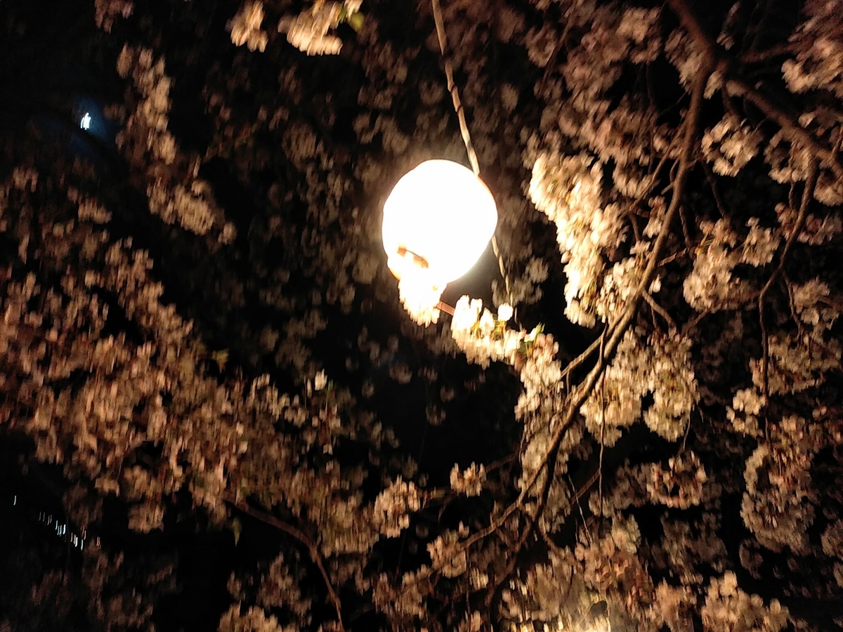 f:id:yuki67hayashi:20200407201437j:plain f:id:yuki67hayashi:20200407201437j:plain