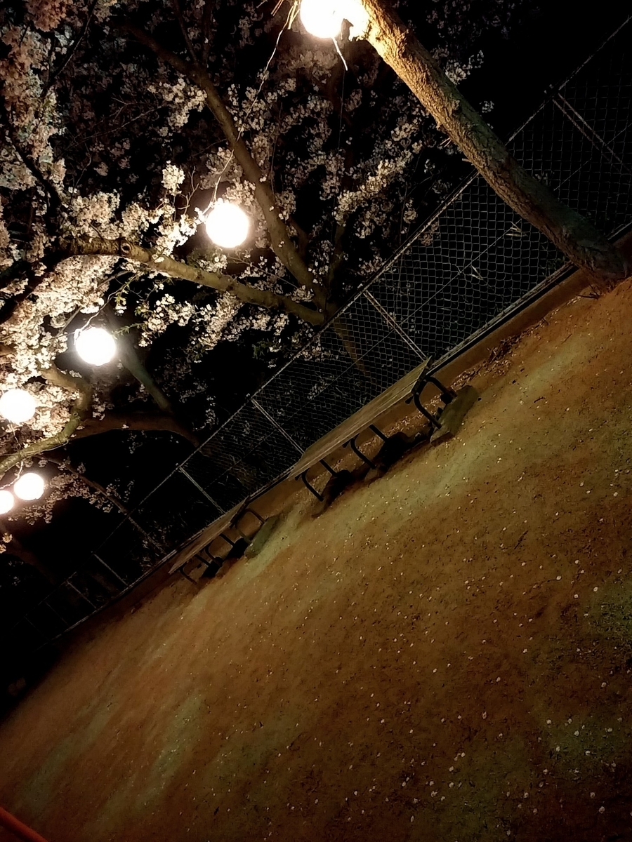 f:id:yuki67hayashi:20200407201455j:plain f:id:yuki67hayashi:20200407201455j:plain