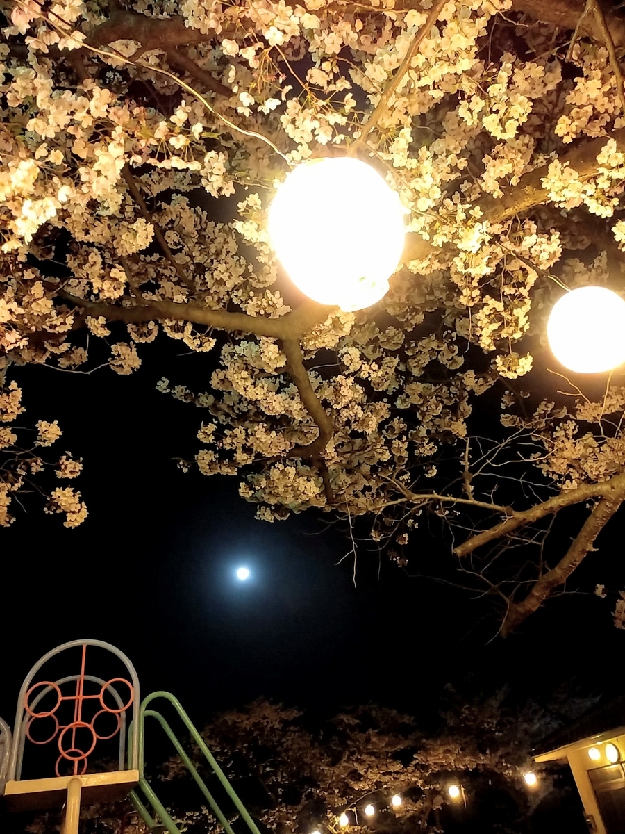 f:id:yuki67hayashi:20200407201512j:plain f:id:yuki67hayashi:20200407201512j:plain