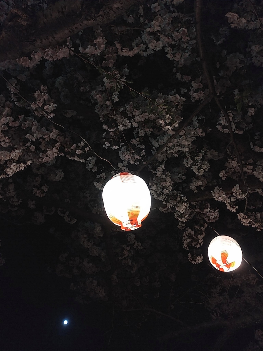 f:id:yuki67hayashi:20200407201528j:plain f:id:yuki67hayashi:20200407201528j:plain