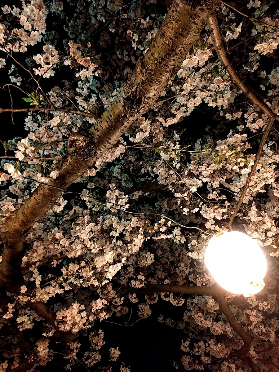 f:id:yuki67hayashi:20200407201552j:plain f:id:yuki67hayashi:20200407201552j:plain