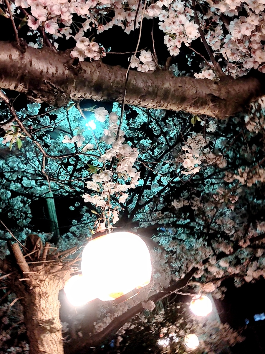 f:id:yuki67hayashi:20200407201705j:plain f:id:yuki67hayashi:20200407201705j:plain
