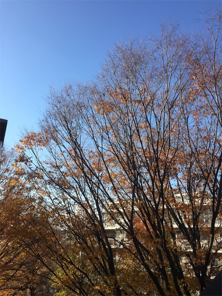 f:id:yuki736:20171129215250j:image f:id:yuki736:20171129215250j:image
