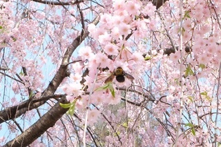 f:id:yukiMynn:20190210171056j:plain