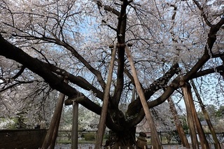 f:id:yukiMynn:20190210171625j:plain