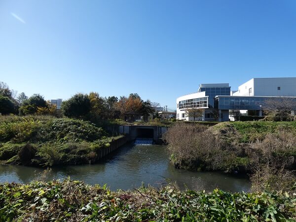f:id:yukiMynn:20201121184856j:plain