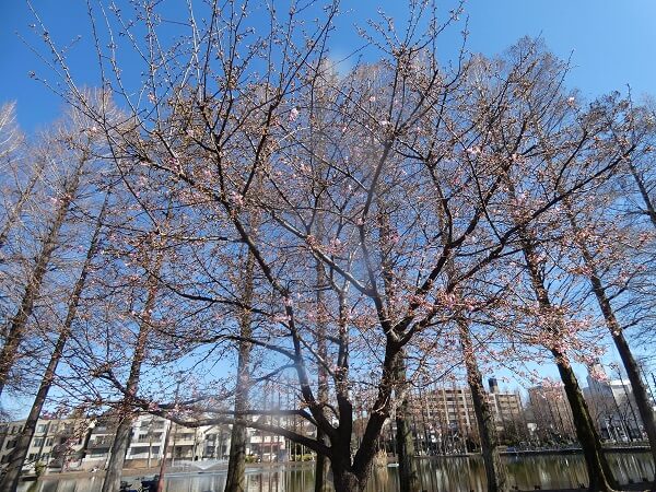f:id:yukiMynn:20210220095536j:plain