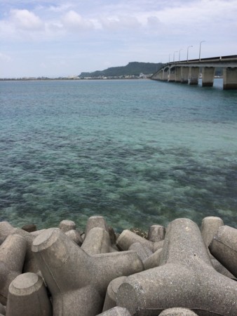 f:id:yuki_2021:20140531124720j:image