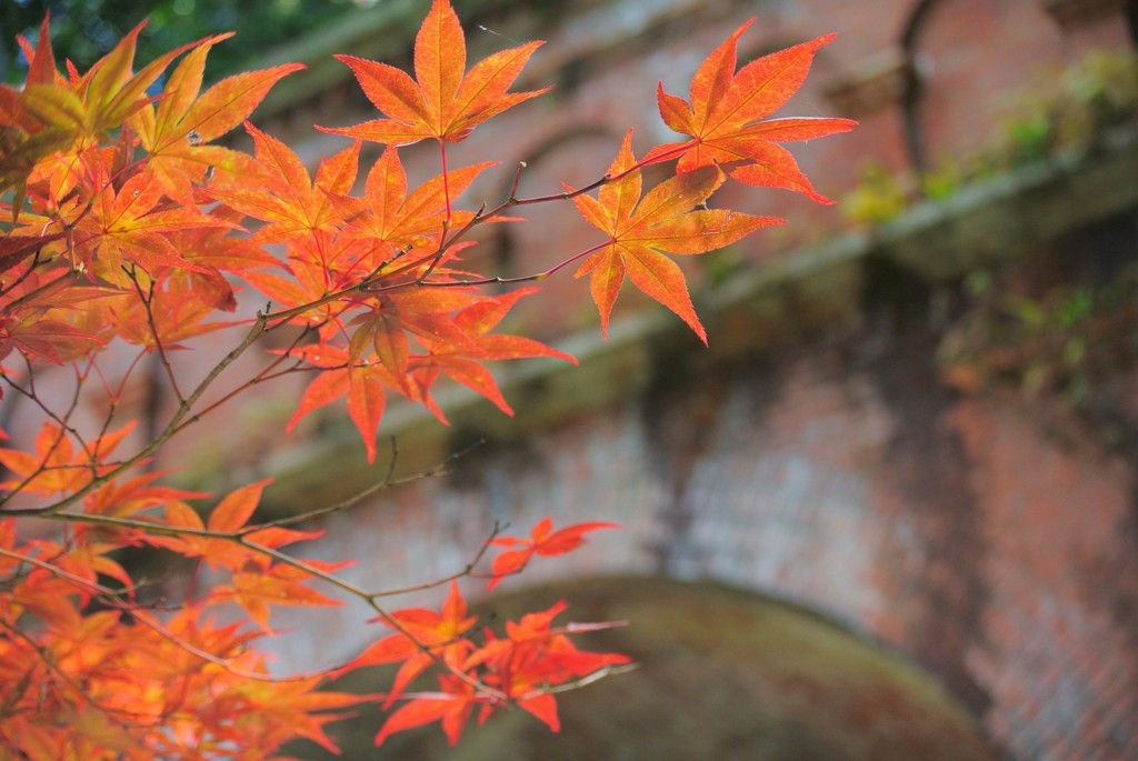 f:id:yuki_2021:20160901210940j:plain:w300 f:id:yuki_2021:20160901210940j:plain:w300