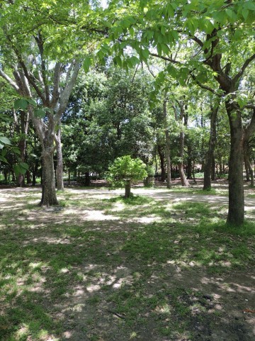 f:id:yuki_2021:20160929215611j:plain:w300