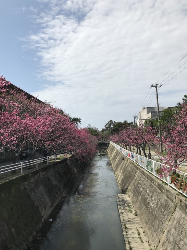 f:id:yuki_2021:20170305135019j:plain:w300