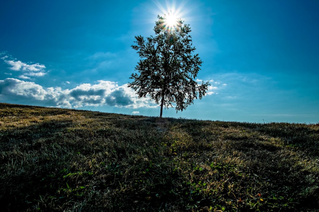 f:id:yuki_2021:20170319205657j:plain:w300 f:id:yuki_2021:20170319205657j:plain:w300