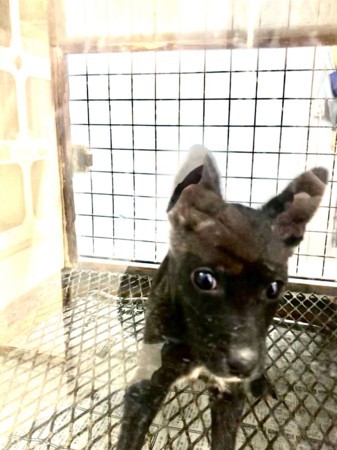 f:id:yuki_2021:20171212222837j:plain