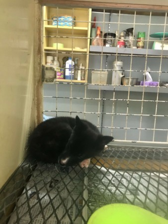 f:id:yuki_2021:20171212222847j:plain