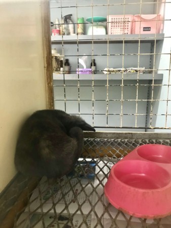 f:id:yuki_2021:20171212222910j:plain