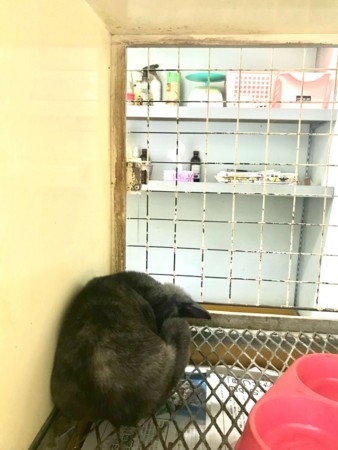 f:id:yuki_2021:20171212223036j:plain