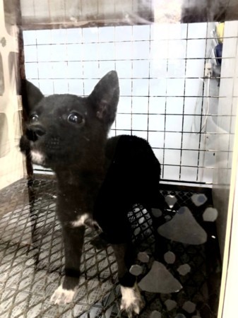 f:id:yuki_2021:20171212223048j:plain