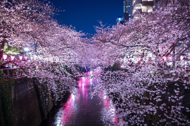 f:id:yuki_2021:20180318020304j:plain:w300 f:id:yuki_2021:20180318020304j:plain:w300