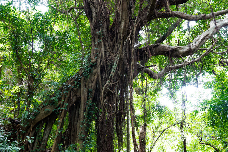 f:id:yuki_2021:20180328234904j:plain:w300