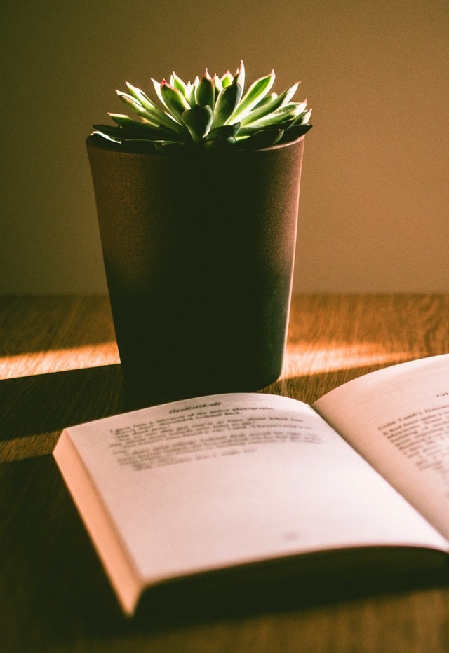 f:id:yuki_2021:20190217215956j:plain