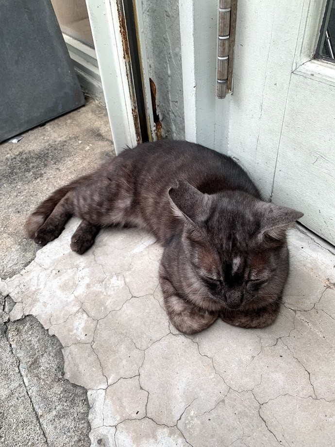 f:id:yuki_2021:20190218221010j:plain