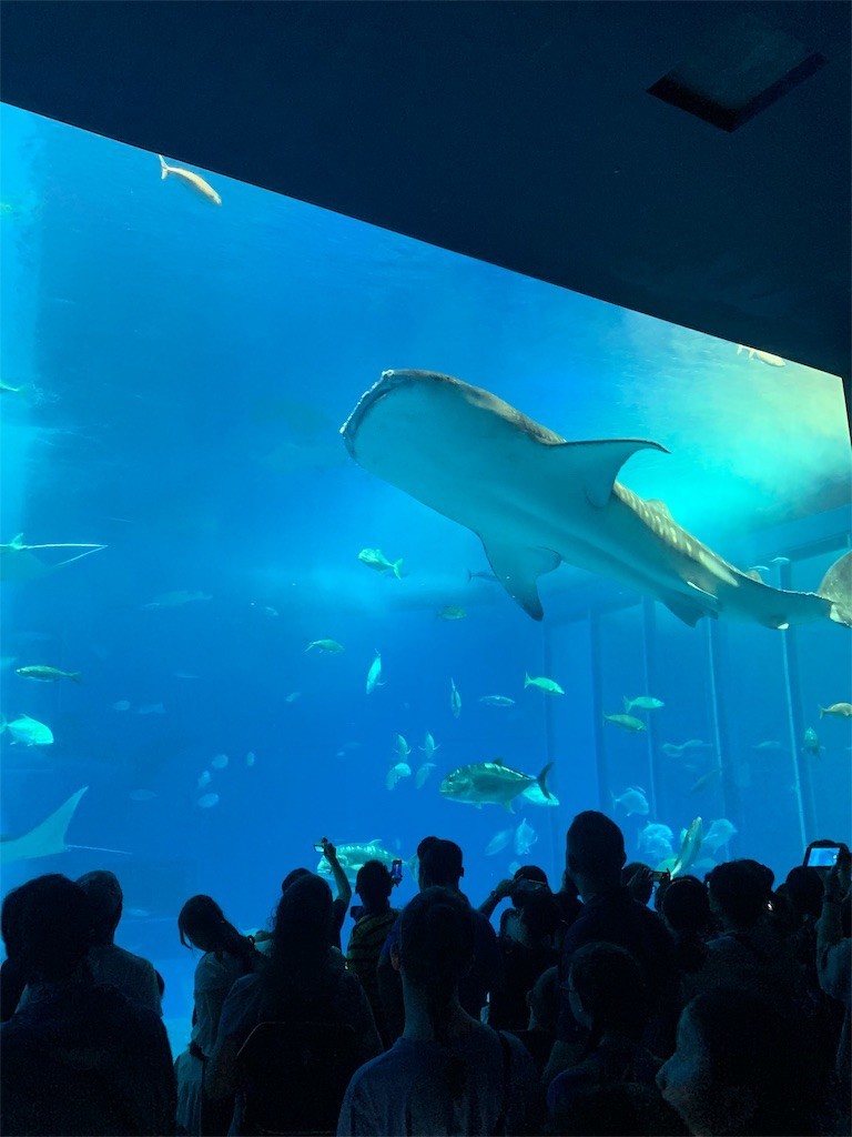 f:id:yuki_2021:20190705212308j:image