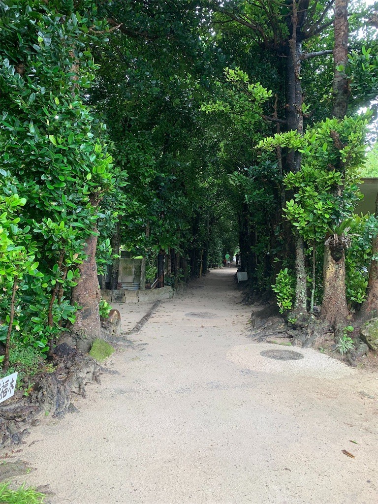 f:id:yuki_2021:20190705213121j:image