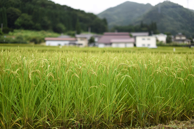 f:id:yuki_2021:20191005220055p:plain