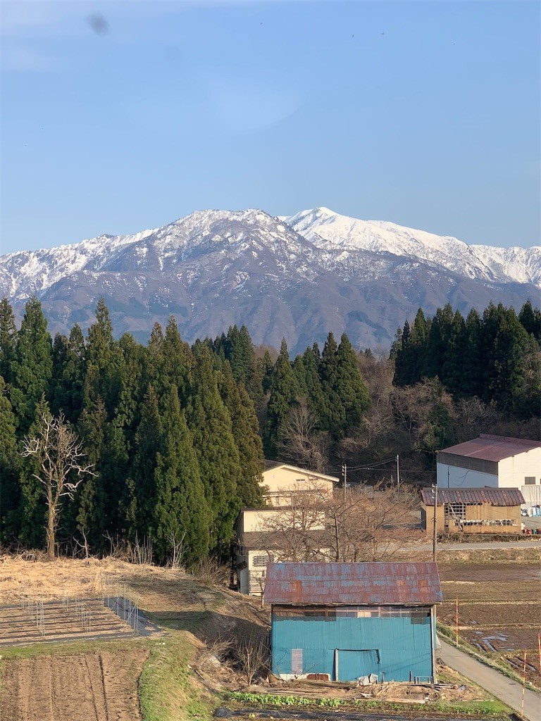f:id:yuki_2021:20200404211504j:image