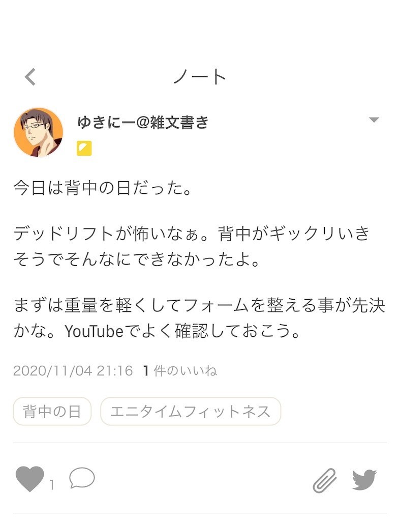 背中の日 トレーニングするうえで怪我だけは避けたい ゆきにーのトレーニングログ
