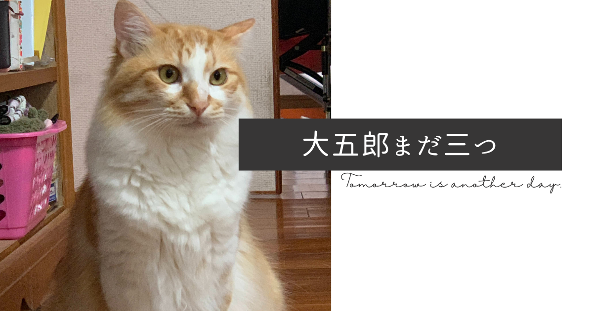 f:id:yuki_2021:20210611084529p:plain