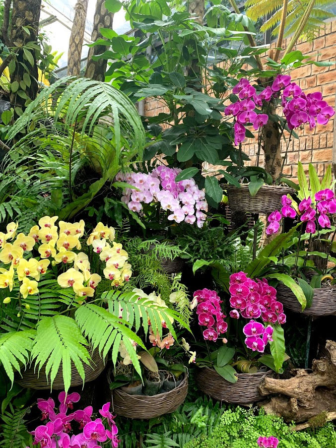 f:id:yuki_2021:20210718203534p:plain