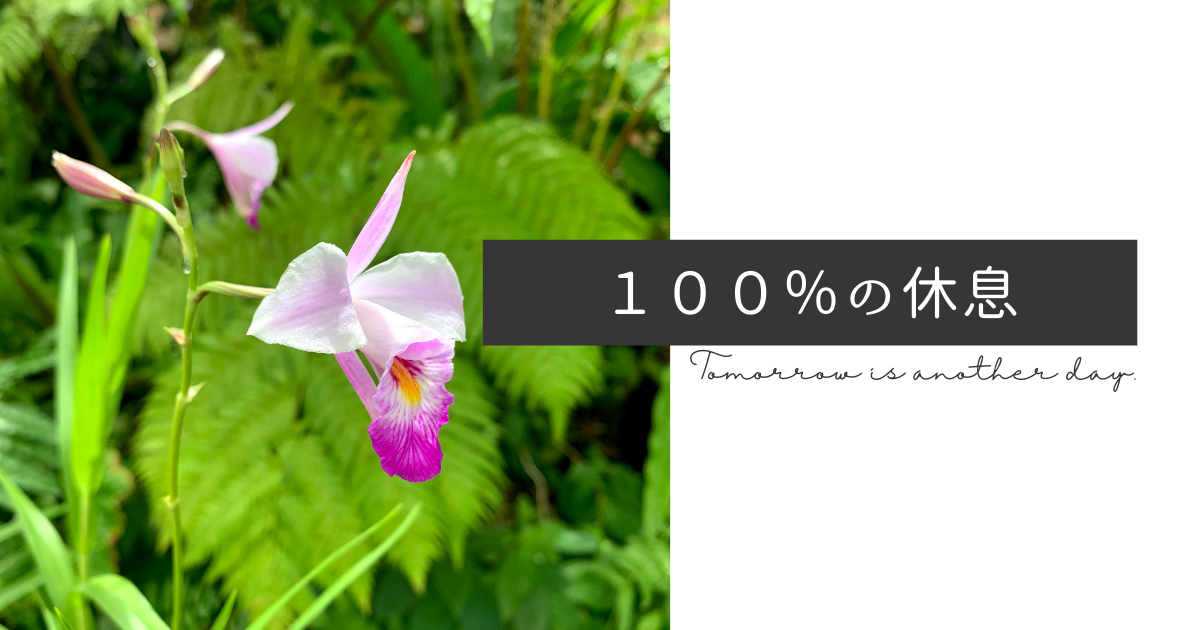 f:id:yuki_2021:20210718205544p:plain