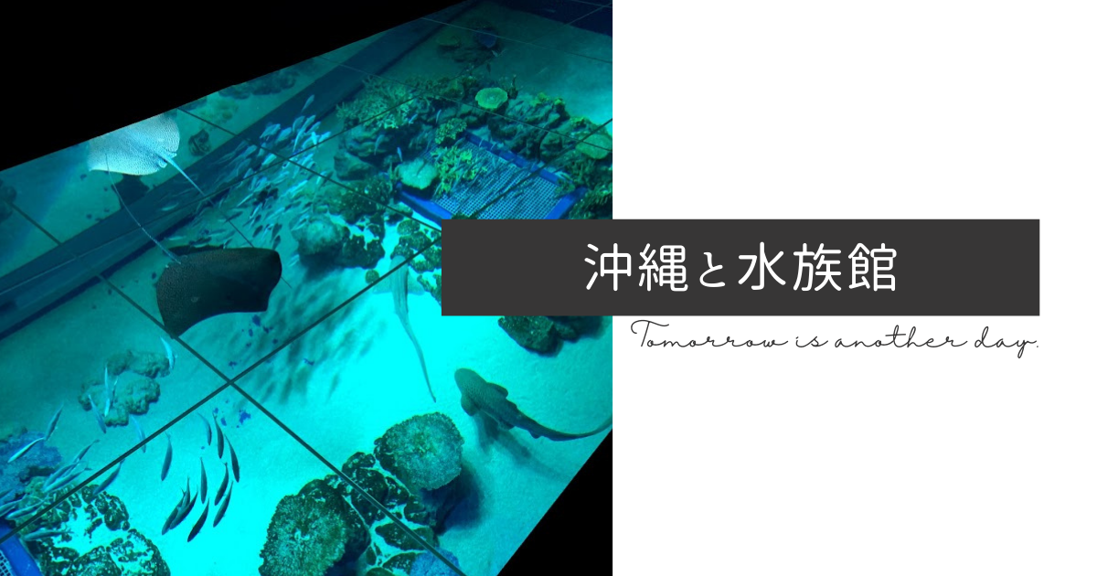 白い砂のアクアトープ　描き下ろし　キャンバスアート　タペストリー　がまがま水族館 白い砂のアクアトープ」のモデルになってる舞台についてちょっと