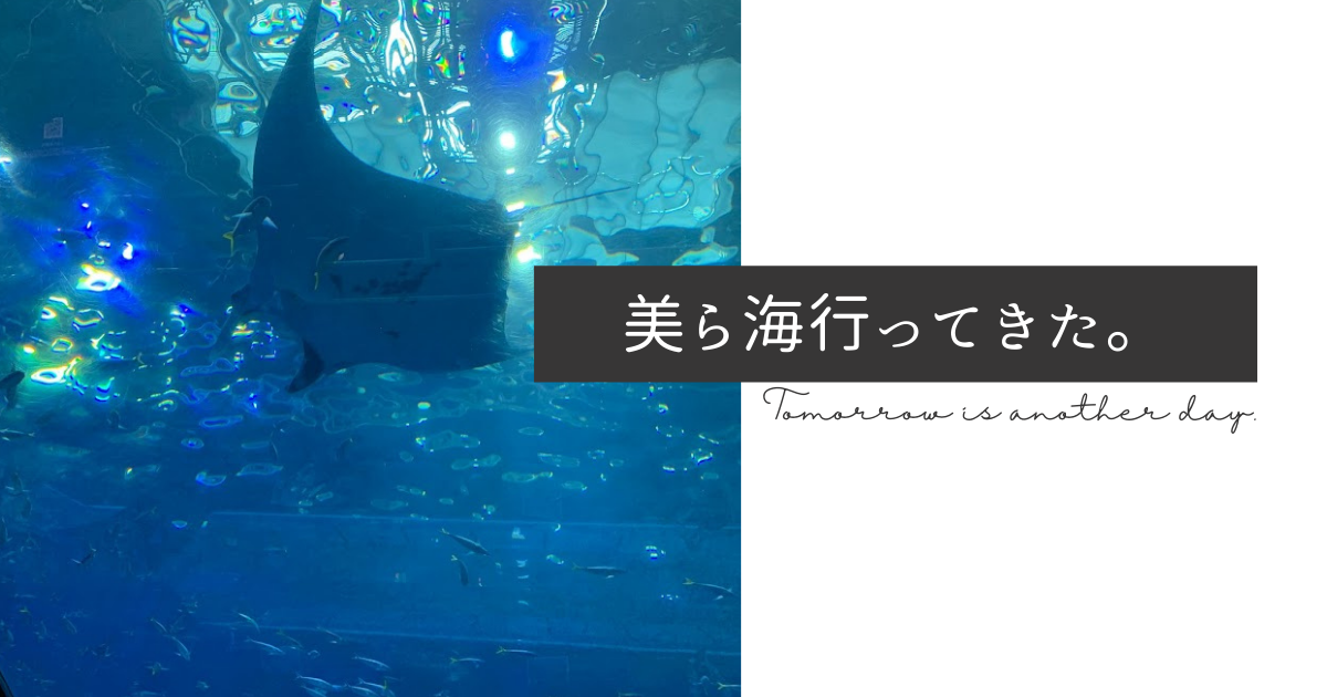 f:id:yuki_2021:20220102232713p:plain