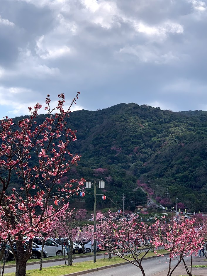 f:id:yuki_2021:20220206220348p:plain